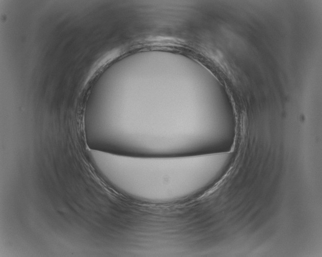 X0000083071405200702020959