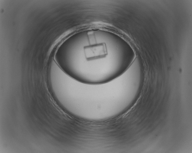 X0000083071410200702020959