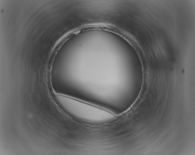 X0000083071412200702020959