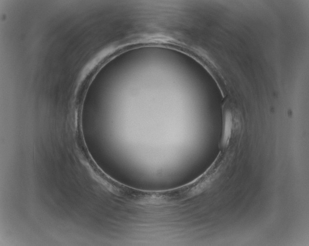 X0000083071414200702020959