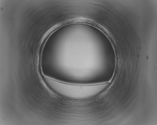 X0000083071418200702020959