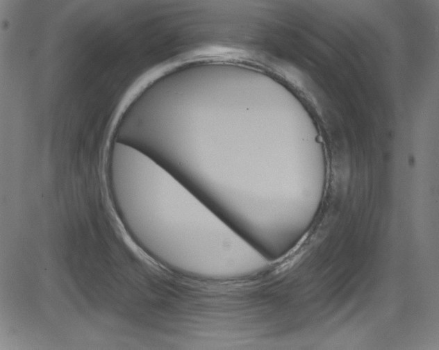 X0000083071421200702020959