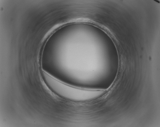 X0000083071422200702020959