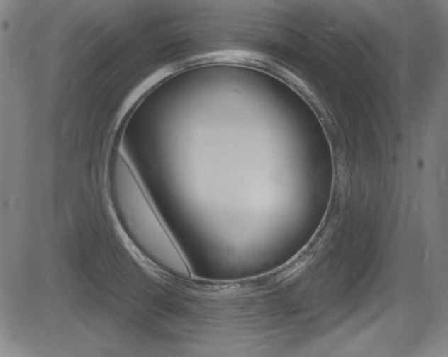 X0000083071426200702020959