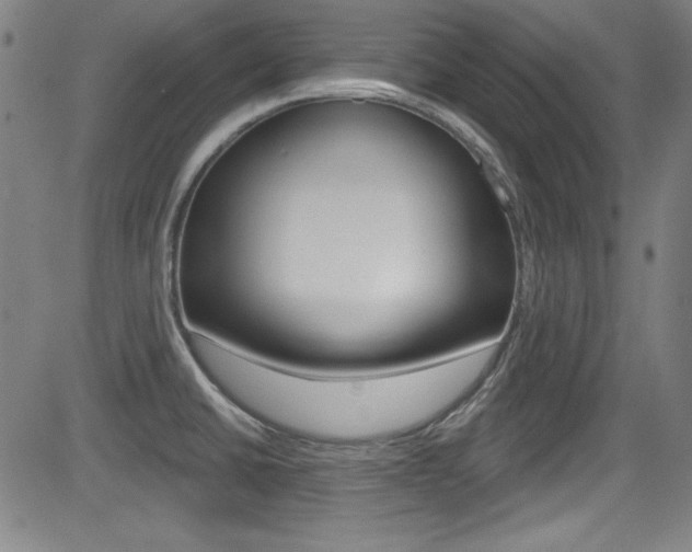 X0000083071430200702020959