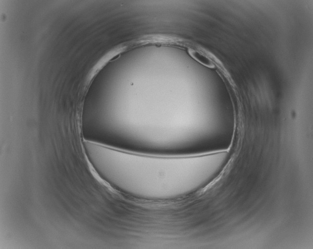 X0000083071433200702020959
