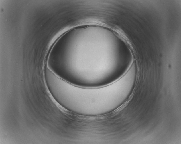 X0000083071438200702021000