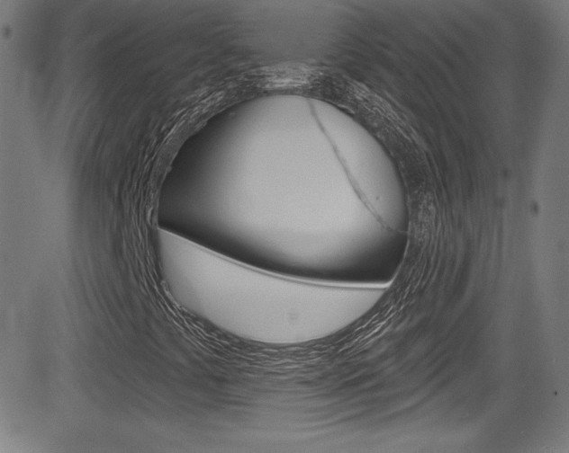 X0000083071441200702020959