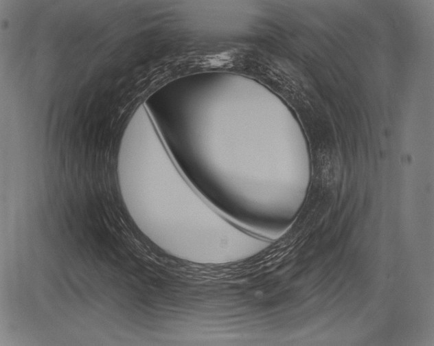 X0000083071442200702020959