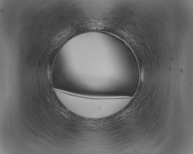 X0000083071444200702020959