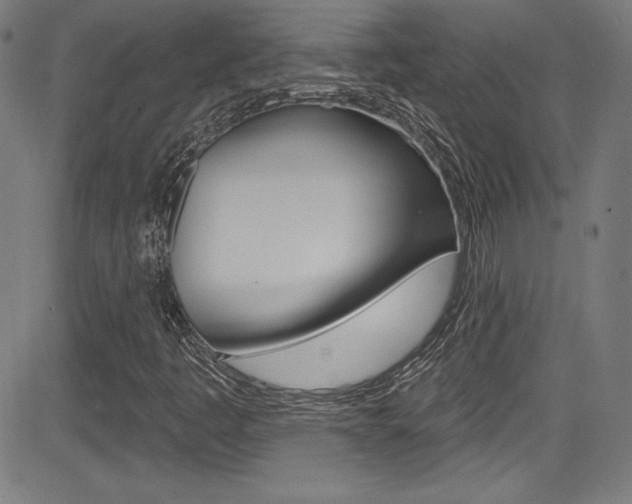 X0000083071445200702020959