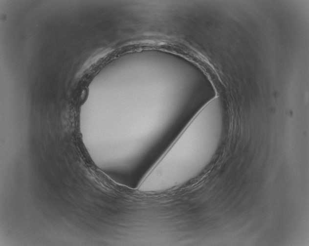 X0000083071448200702020959