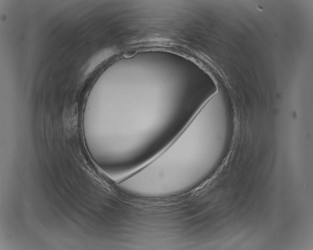 X0000083071450200702020959