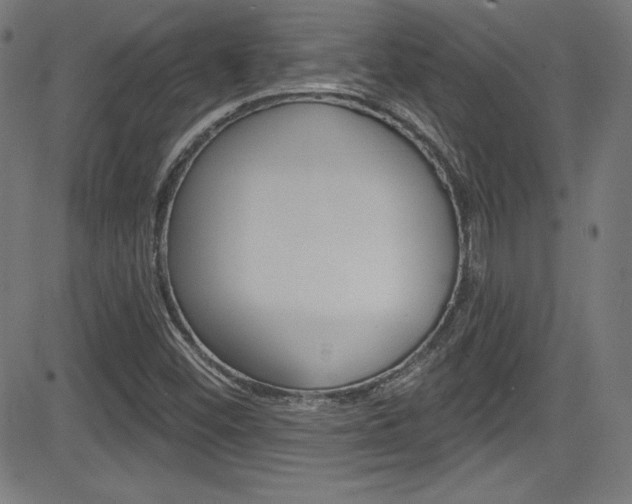 X0000083071452200702020959