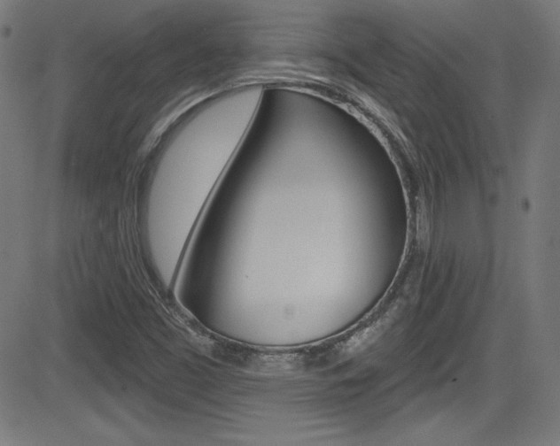 X0000083071453200702020959