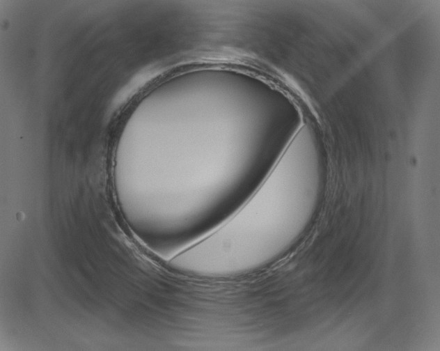 X0000083071456200702020959