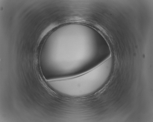X0000083071458200702020959