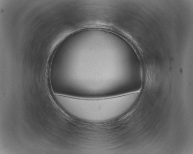 X0000083071463200702020958