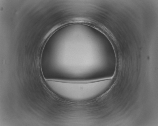 X0000083071465200702020958