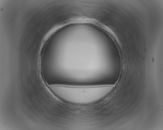 X0000083071472200702020958
