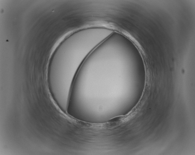 X0000083071477200702020958