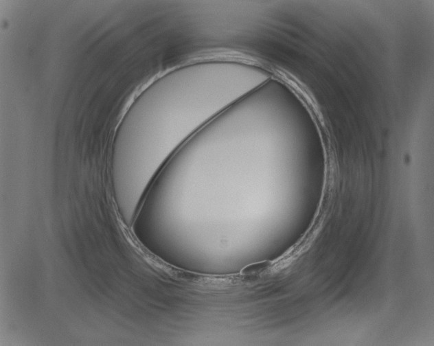 X0000083071481200702020958