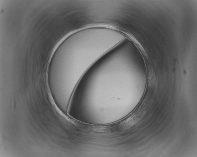 X0000083071484200702020958