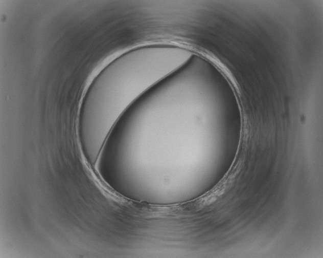 X0000083071485200702020958