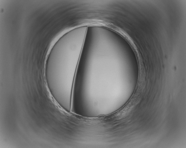X0000083071488200702020958