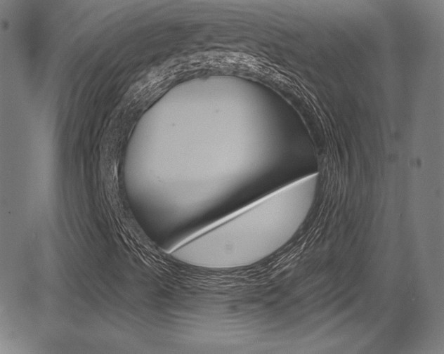 X0000083071489200702020957