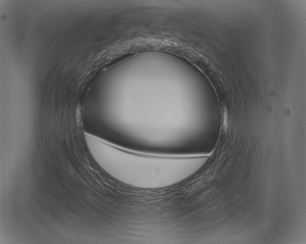 X0000083071492200702020957