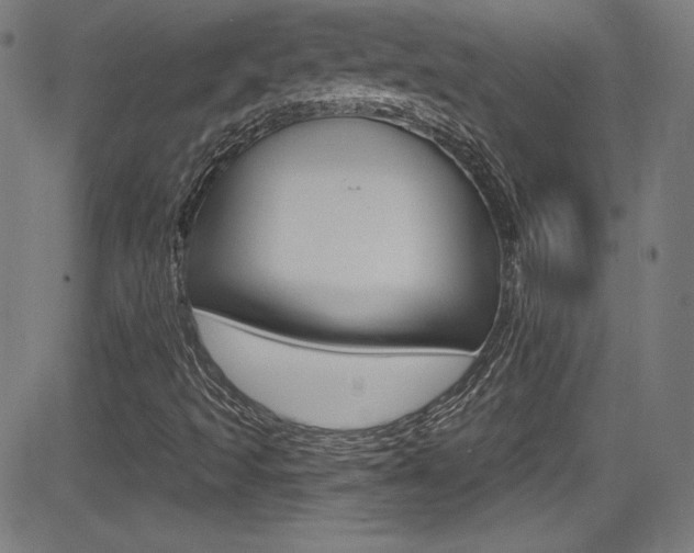 X0000083071493200702020957