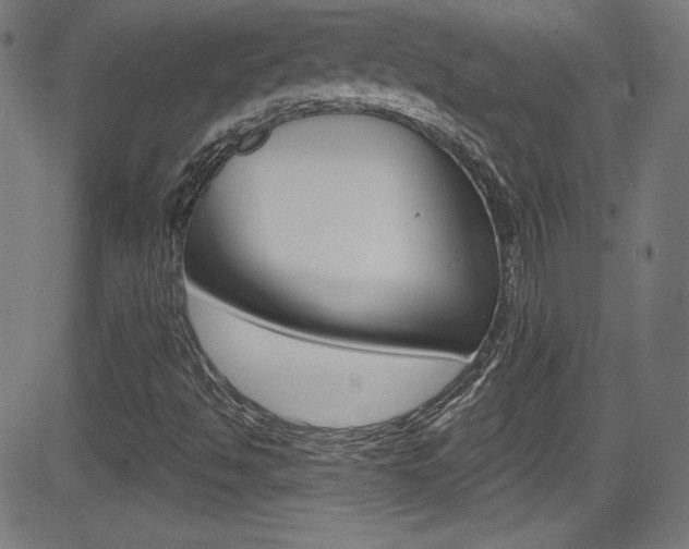 X0000083071494200702020957