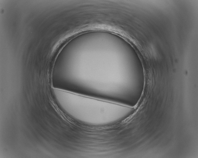 X0000083071499200702020957