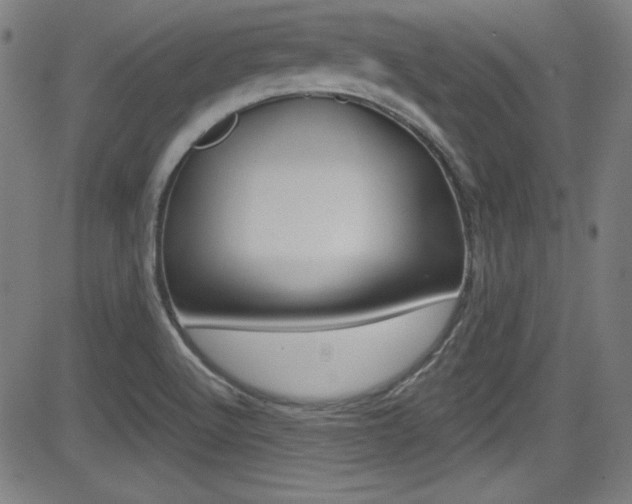 X0000083071512200702020958