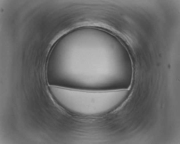 X0000083071513200702020958