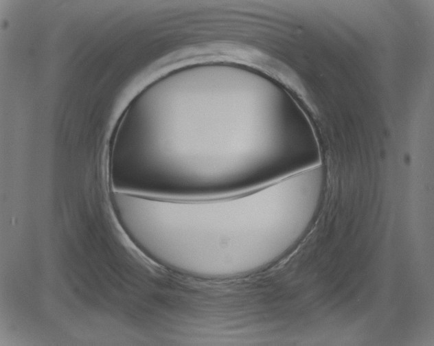 X0000083071516200702020958