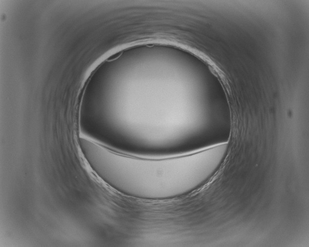 X0000083071534200702020958