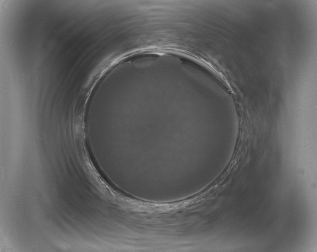 X0000083070002200702021307