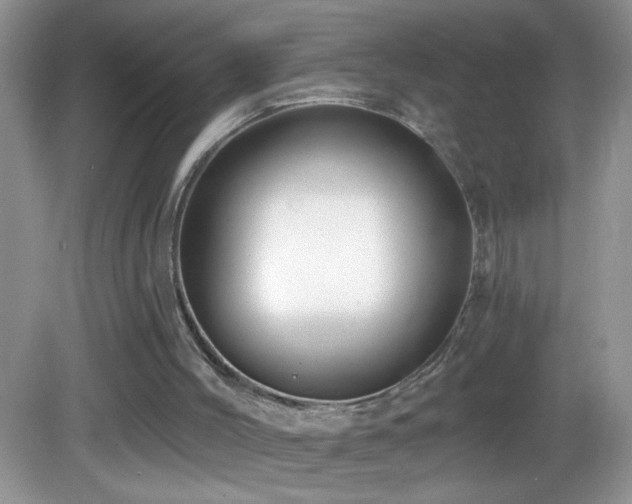 X0000083070004200702021307