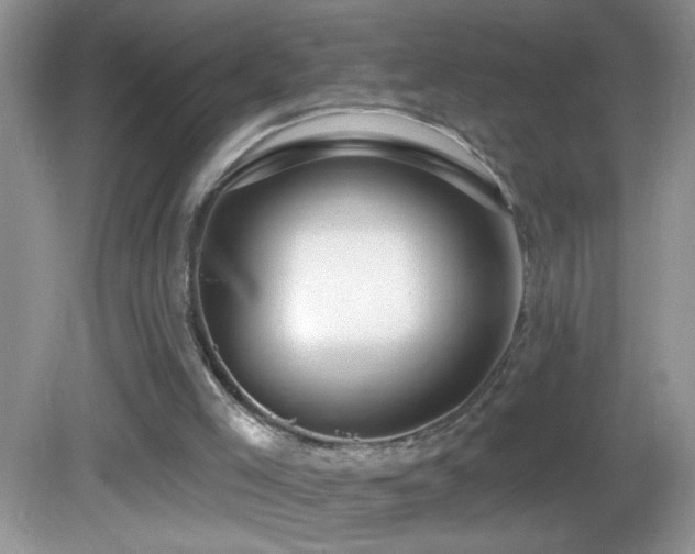 X0000083070005200702021307