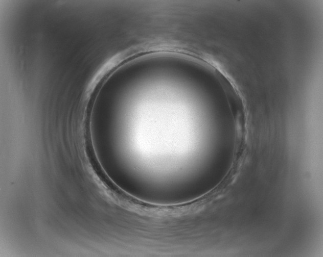 X0000083070007200702021307
