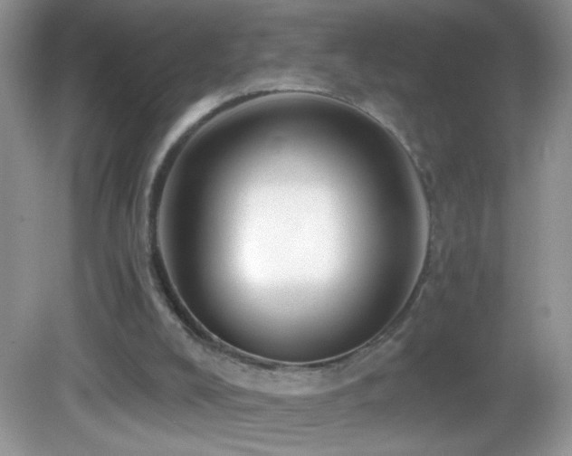 X0000083070008200702021307