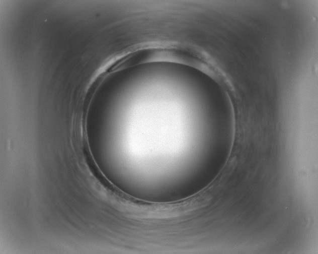 X0000083070011200702021307
