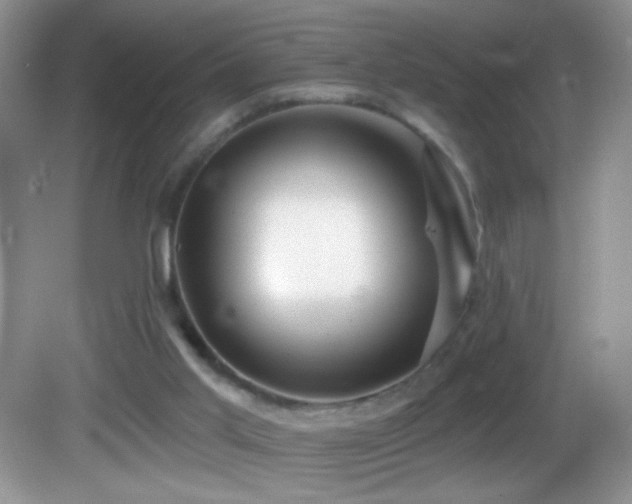 X0000083070013200702021307