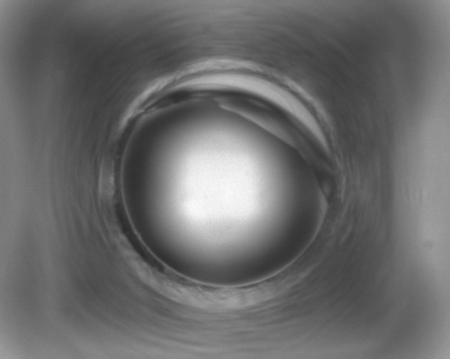 X0000083070015200702021307