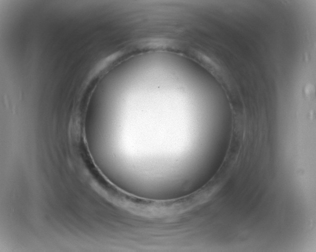 X0000083070016200702021307
