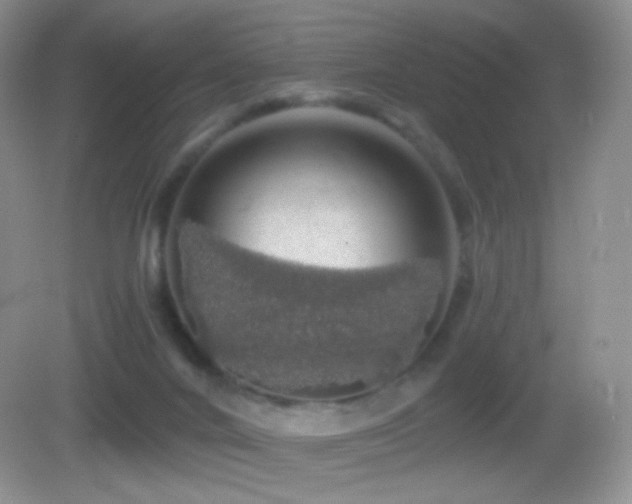 X0000083070024200702021306