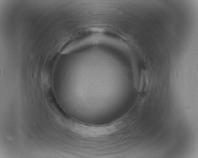 X0000083070031200702021306