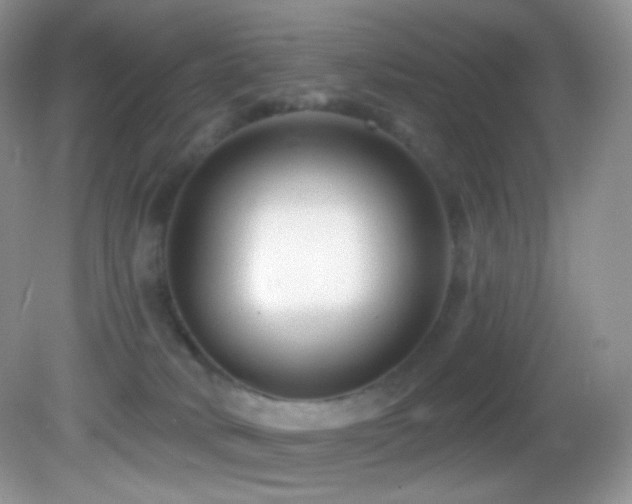 X0000083070034200702021306